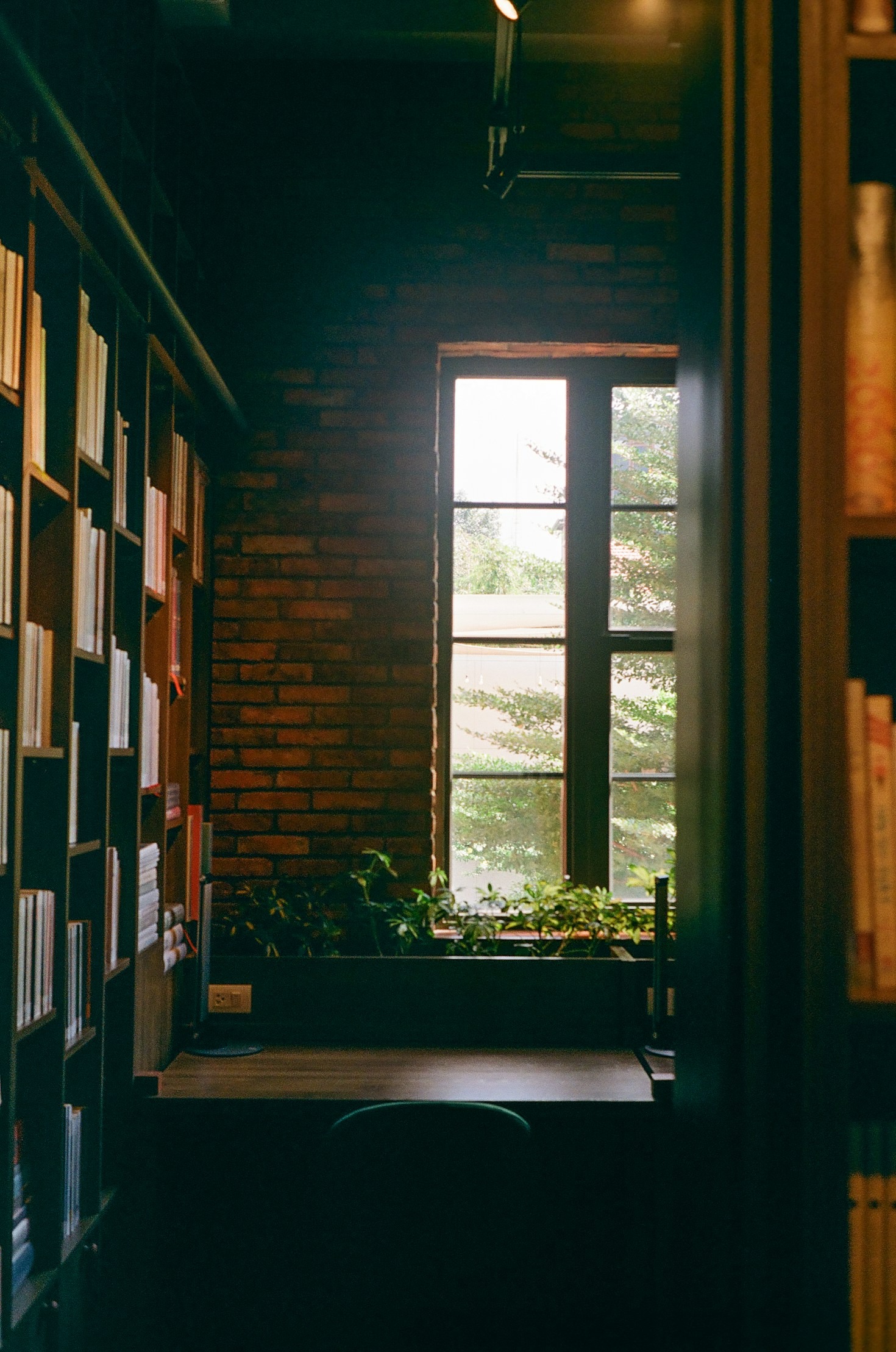 Five Surprising Books That Changed My Outlook